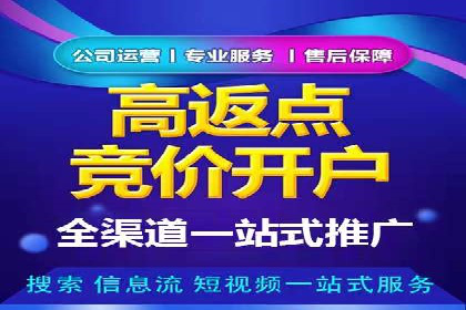 某公司通过竞价SEM优化搜索引擎排名案例